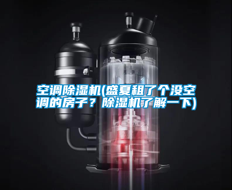 空調除濕機(盛夏租了個沒空調的房子？除濕機了解一下)