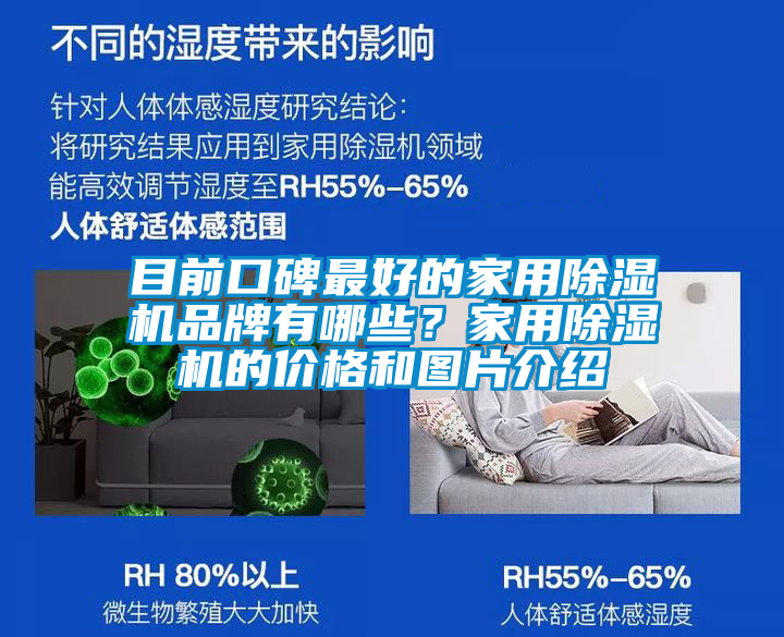 目前口碑最好的家用除濕機品牌有哪些？家用除濕機的價格和圖片介紹