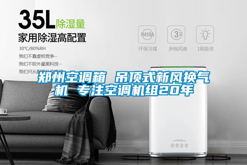 鄭州空調(diào)箱 吊頂式新風換氣機 專注空調(diào)機組20年