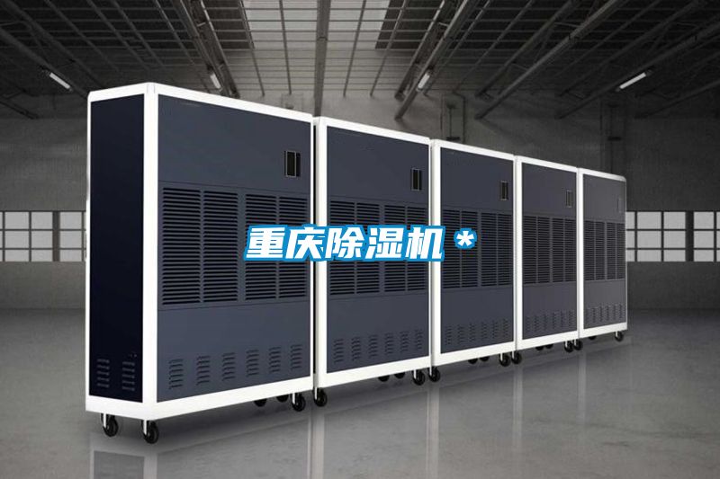 重慶除濕機*