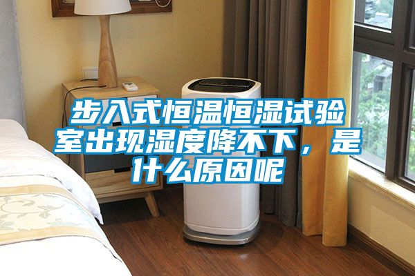 步入式恒溫恒濕試驗(yàn)室出現(xiàn)濕度降不下,是什么原因呢