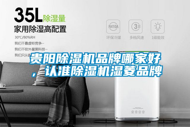 貴陽除濕機品牌哪家好,認準(zhǔn)除濕機濕菱品牌