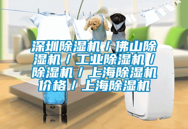 深圳除濕機/佛山除濕機/工業(yè)除濕機/除濕機/上海除濕機價格/上海除濕機