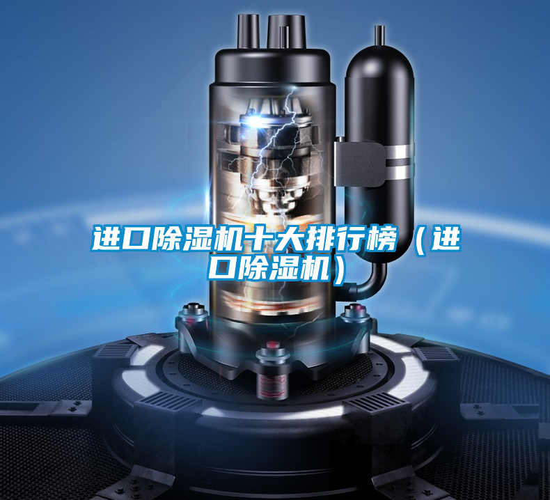進口除濕機十大排行榜(進口除濕機)