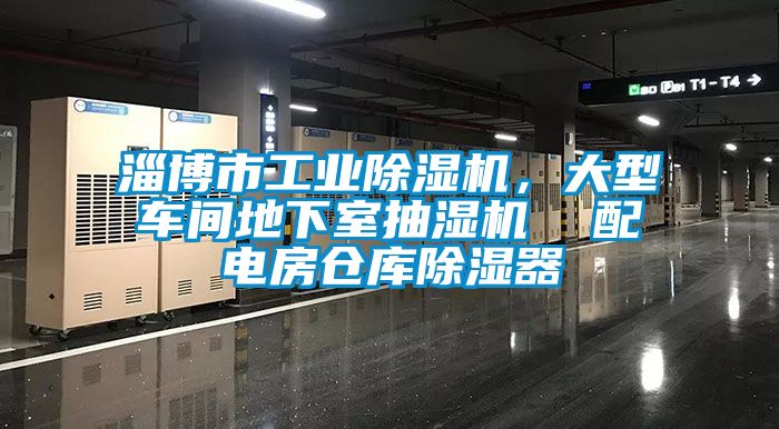 淄博市工業(yè)除濕機，大型車間地下室抽濕機  配電房倉庫除濕器