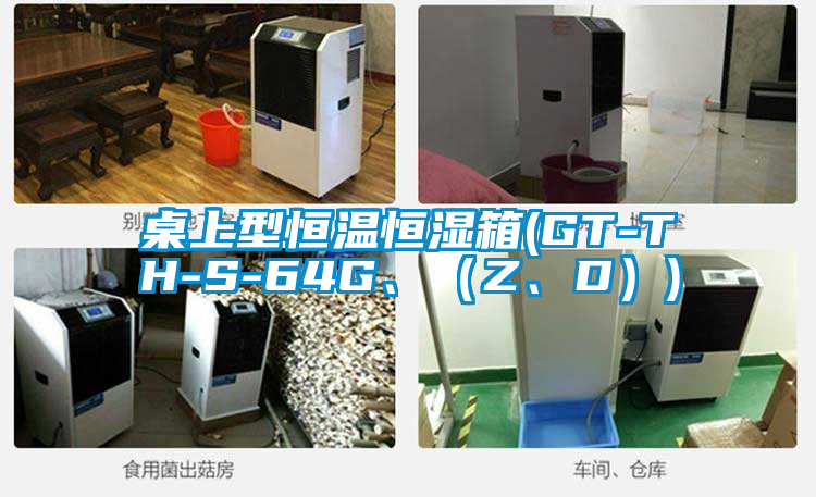 桌上型恒溫恒濕箱(GT-TH-S-64G、(Z、D))