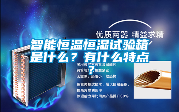 智能恒溫恒濕試驗(yàn)箱是什么？有什么特點(diǎn)？