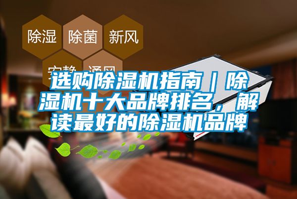 選購除濕機指南｜除濕機十大品牌排名，解讀最好的除濕機品牌