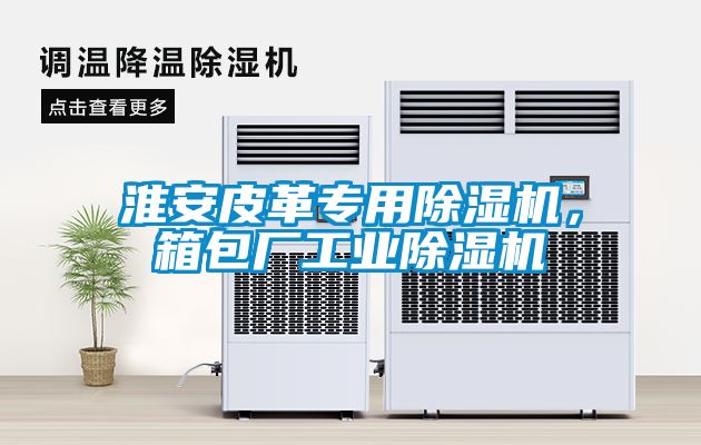 淮安皮革專用除濕機,箱包廠工業除濕機