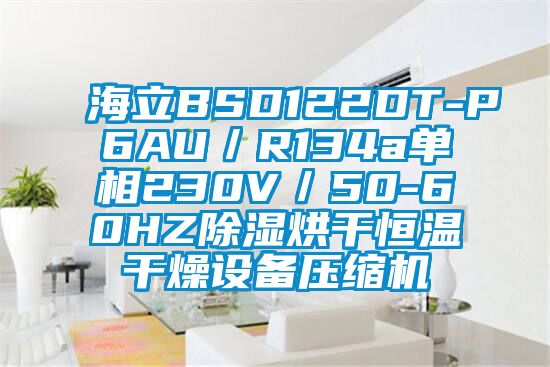 海立BSD122DT-P6AU/R134a單相230V/50-60HZ除濕烘干恒溫干燥設備壓縮機