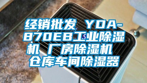 經銷批發 YDA-870EB工業除濕機 廠房除濕機 倉庫車間除濕器