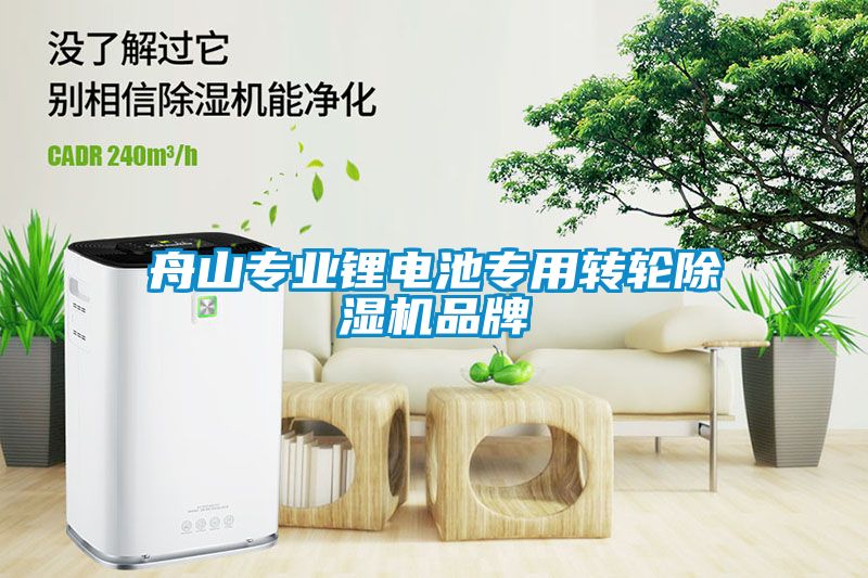 舟山專業(yè)鋰電池專用轉輪除濕機品牌