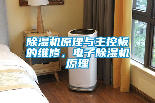 除濕機原理與主控板的維修,電子除濕機原理