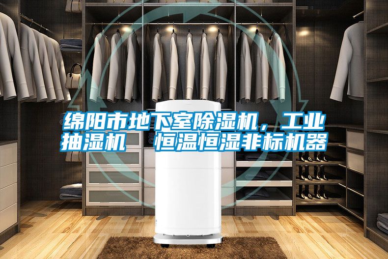 綿陽市地下室除濕機，工業(yè)抽濕機  恒溫恒濕非標機器