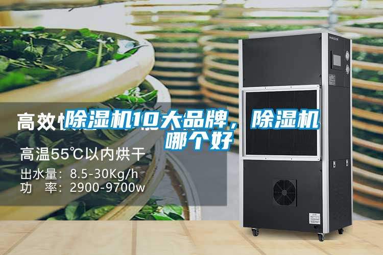 除濕機10大品牌，除濕機 哪個好