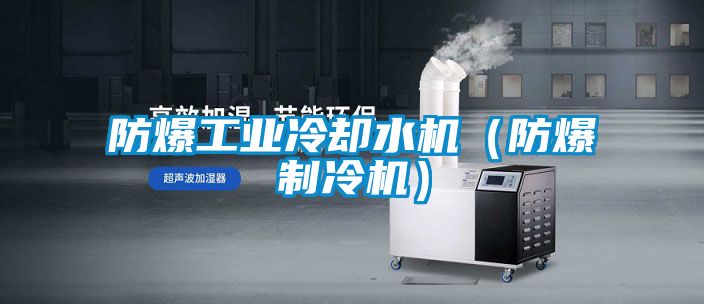 防爆工業冷卻水機(防爆制冷機)