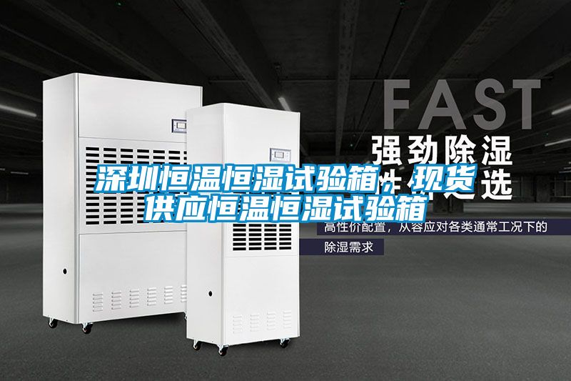 深圳恒溫恒濕試驗箱，現(xiàn)貨供應(yīng)恒溫恒濕試驗箱