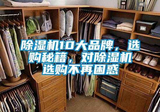 除濕機10大品牌，選購秘籍，對除濕機選購不再困惑