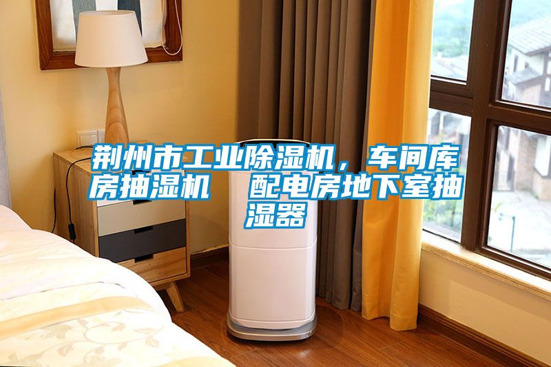 荊州市工業(yè)除濕機(jī),車間庫房抽濕機(jī) 配電房地下室抽濕器