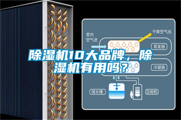 除濕機10大品牌，除濕機有用嗎？