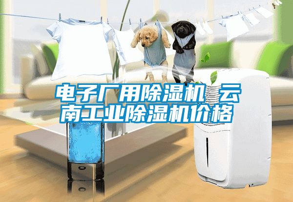 電子廠用除濕機(jī) 云南工業(yè)除濕機(jī)價格