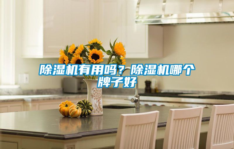 除濕機有用嗎?除濕機哪個牌子好