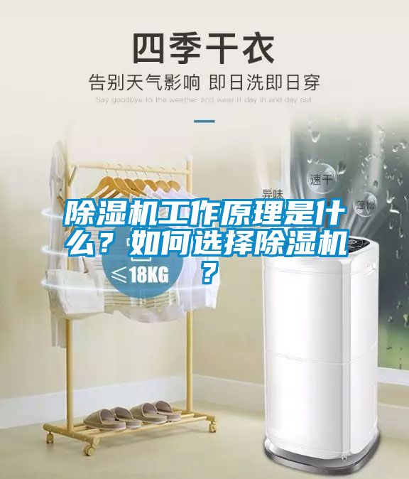 除濕機工作原理是什么?如何選擇除濕機?