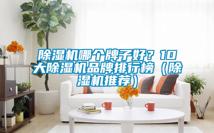 除濕機哪個牌子好?10大除濕機品牌排行榜(除濕機推薦)