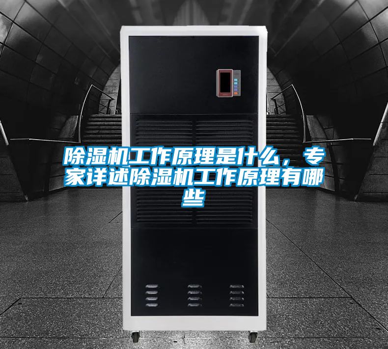 除濕機工作原理是什么，專家詳述除濕機工作原理有哪些