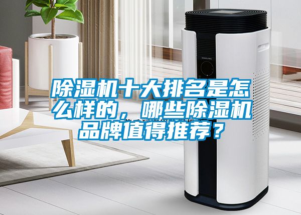 除濕機十大排名是怎么樣的,哪些除濕機品牌值得推薦?