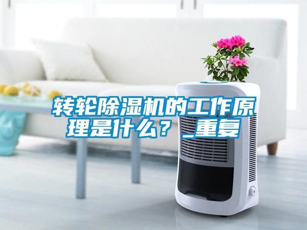 轉(zhuǎn)輪除濕機的工作原理是什么？_重復