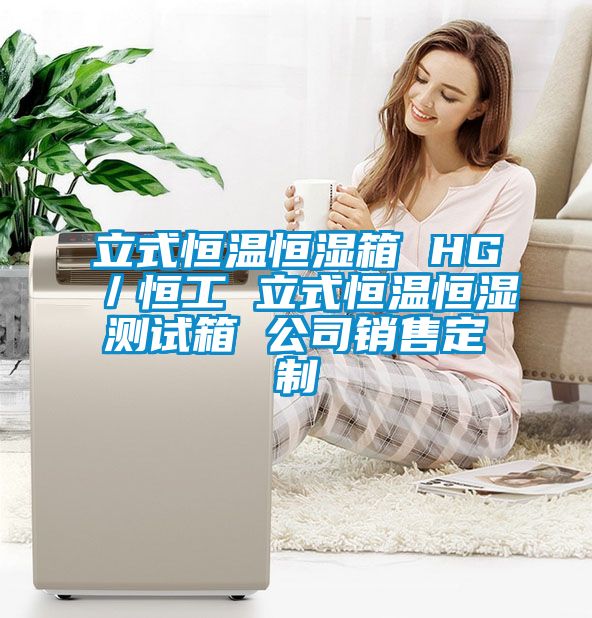 立式恒溫恒濕箱 HG/恒工 立式恒溫恒濕測試箱 公司銷售定制