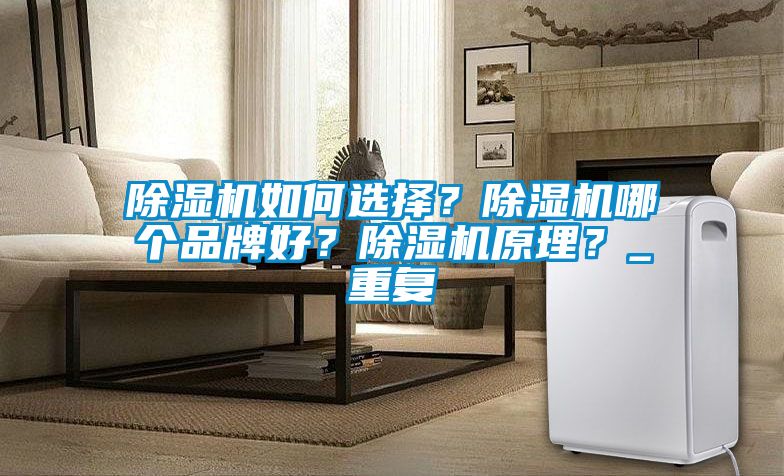 除濕機如何選擇？除濕機哪個品牌好？除濕機原理？_重復