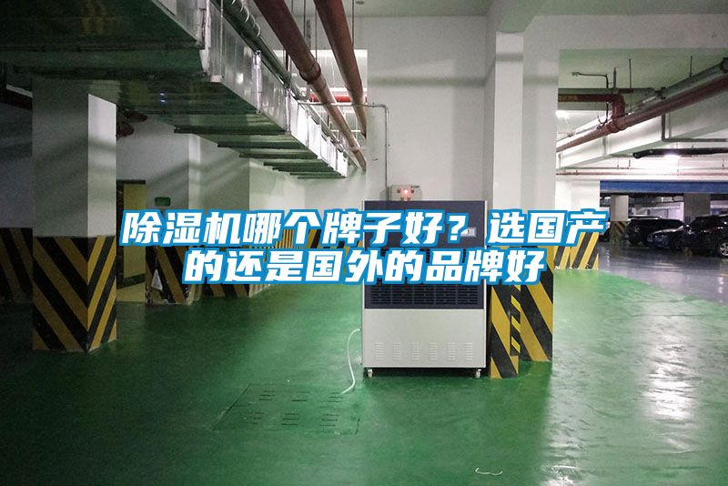 除濕機哪個牌子好？選國產的還是國外的品牌好