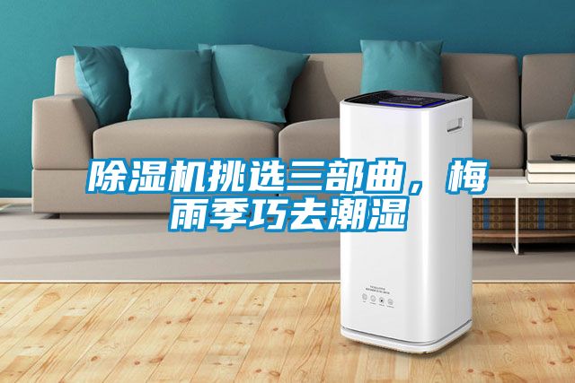 除濕機(jī)挑選三部曲,梅雨季巧去潮濕