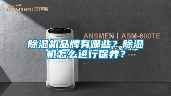 除濕機品牌有哪些?除濕機怎么進行保養?