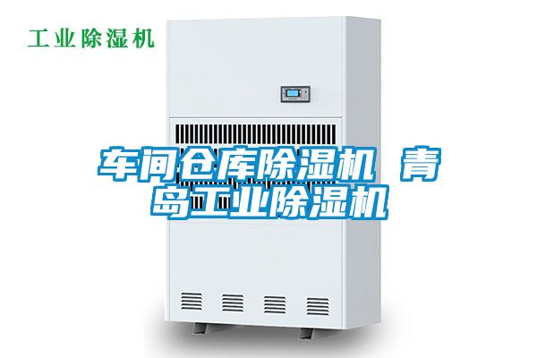 車間倉庫除濕機 青島工業(yè)除濕機
