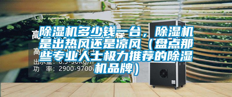 除濕機多少錢一臺,除濕機是出熱風還是涼風(盤點那些專業人士極力推薦的除濕機品牌)