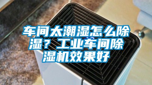 車間太潮濕怎么除濕？工業(yè)車間除濕機效果好
