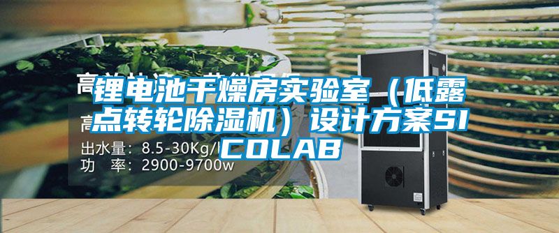 鋰電池干燥房實驗室(低露點轉(zhuǎn)輪除濕機)設(shè)計方案SICOLAB