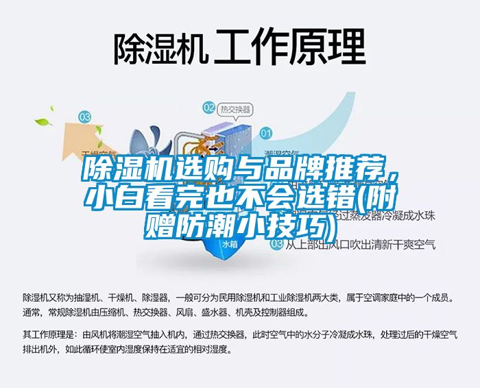 除濕機選購與品牌推薦,小白看完也不會選錯(附贈防潮小技巧)