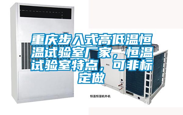 重慶步入式高低溫恒溫試驗(yàn)室廠家,恒溫試驗(yàn)室特點(diǎn),可非標(biāo)定做