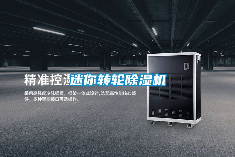 迷你轉(zhuǎn)輪除濕機(jī)