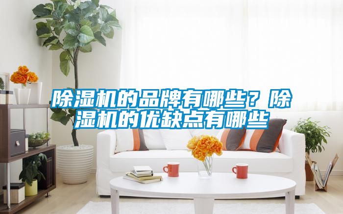 除濕機(jī)的品牌有哪些？除濕機(jī)的優(yōu)缺點(diǎn)有哪些