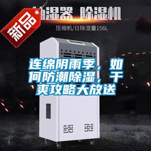 連綿陰雨季，如何防潮除濕，干爽攻略大放送