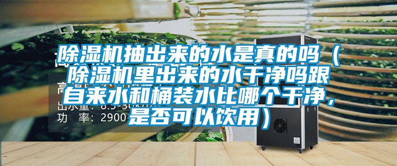 除濕機抽出來的水是真的嗎(除濕機里出來的水干凈嗎跟自來水和桶裝水比哪個干凈,是否可以飲用)