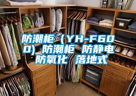 防潮柜(YH-F600) 防潮柜 防靜電 防氧化 落地式