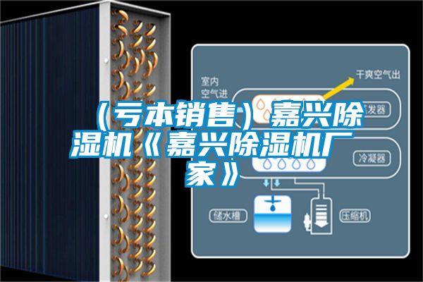 (虧本銷售)嘉興除濕機(jī)《嘉興除濕機(jī)廠家》