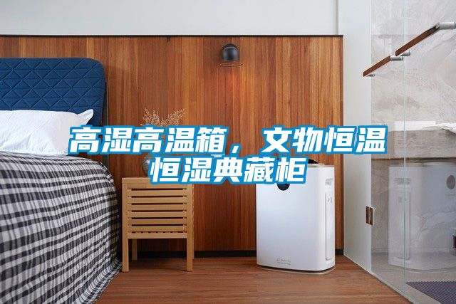 高濕高溫箱,文物恒溫恒濕典藏柜