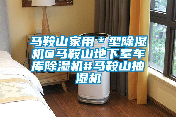 馬鞍山家用*型除濕機@馬鞍山地下室車庫除濕機#馬鞍山抽濕機